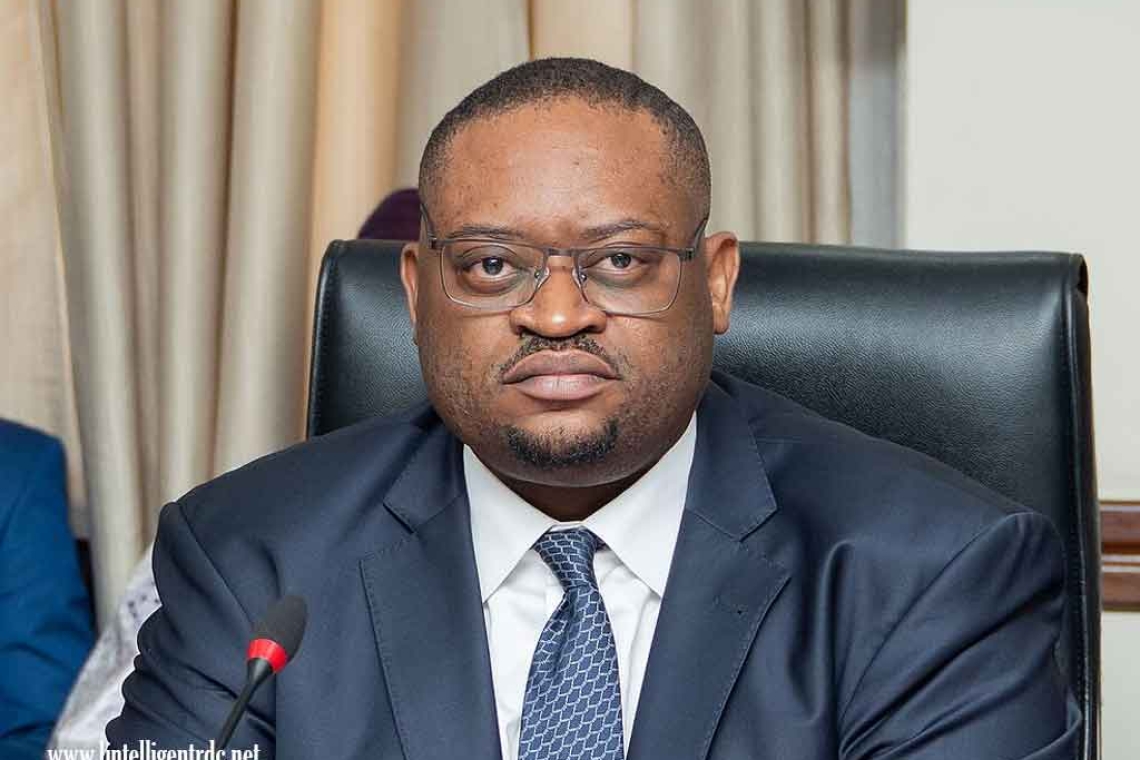 Doudou Roussel Fwamba Likunde Li-Botayi est un haut fonctionnaire, économiste, auteur et homme politique congolais. Actuel ministre des Finances de la République démocratique du Congo